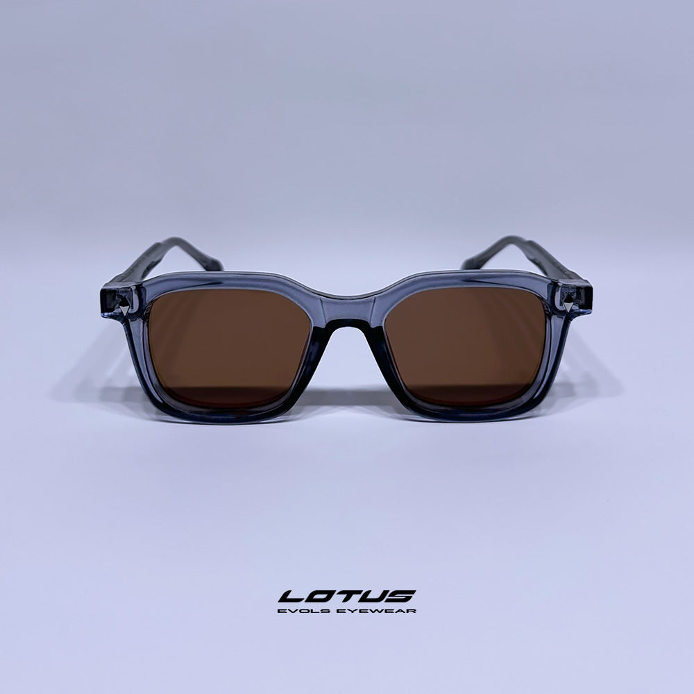 LOTUS TRANSPARENT PURPLE/BROWN - Evols 1