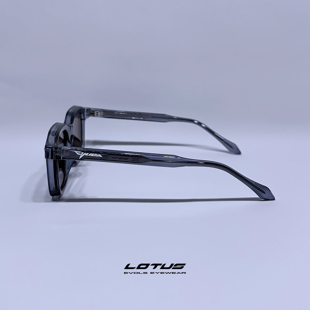 LOTUS TRANSPARENT PURPLE/BROWN - Evols 6