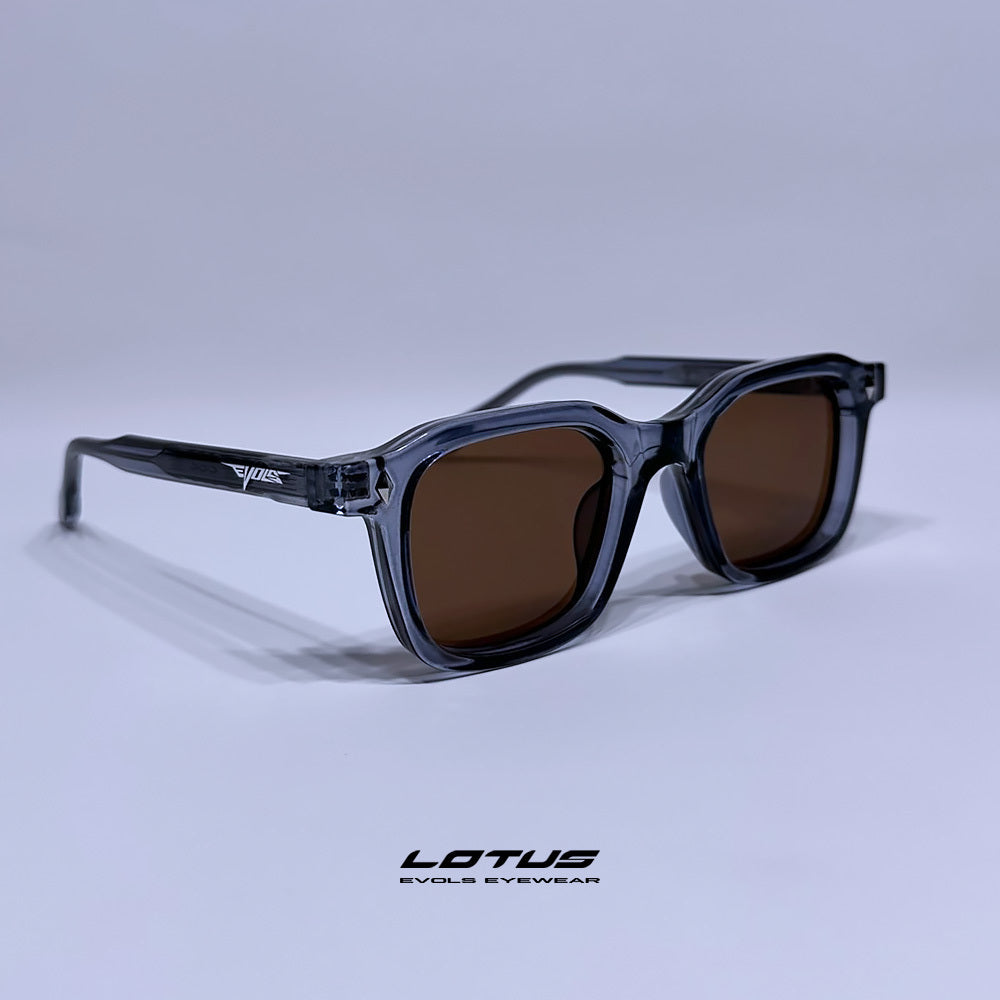 LOTUS TRANSPARENT PURPLE/BROWN - Evols 3