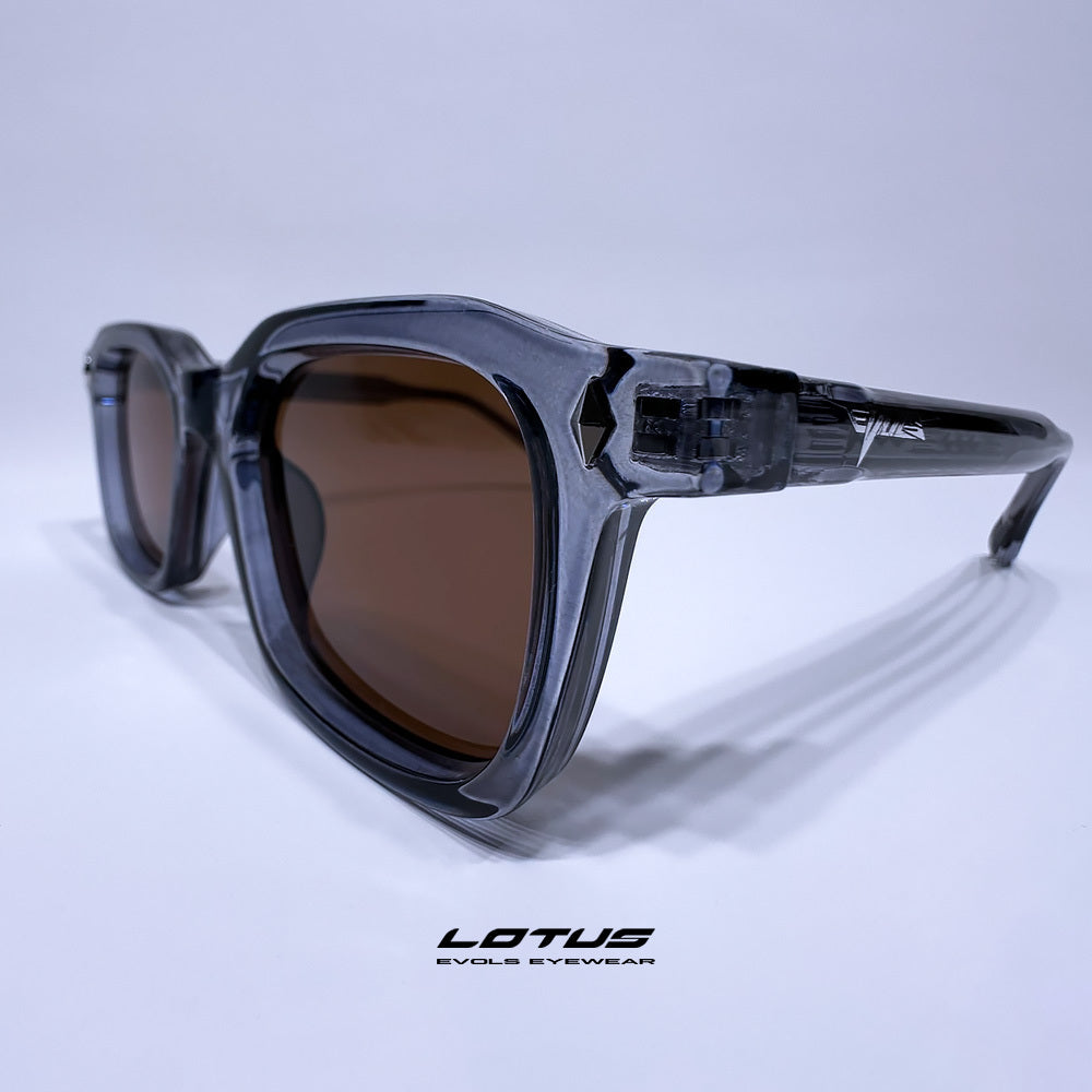 LOTUS TRANSPARENT PURPLE/BROWN - Evols 2