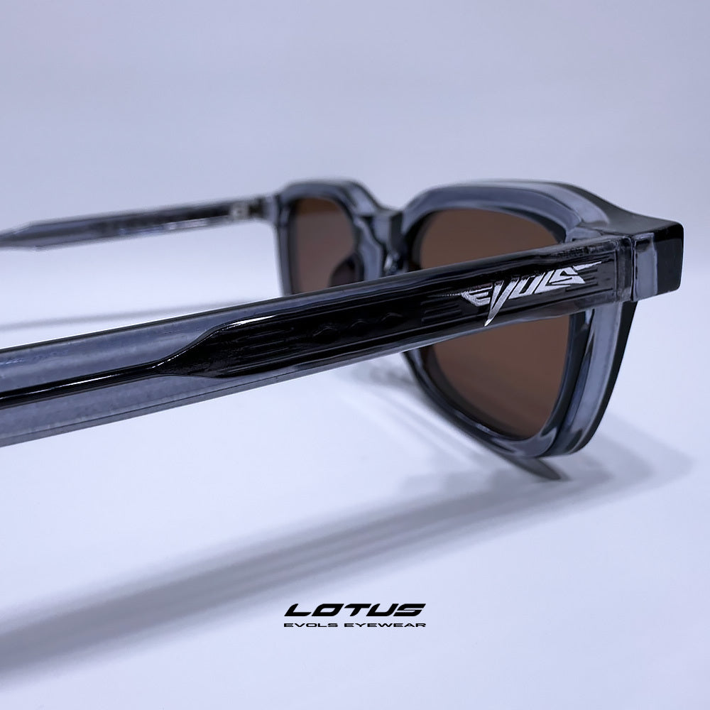 LOTUS TRANSPARENT PURPLE/BROWN - Evols 4